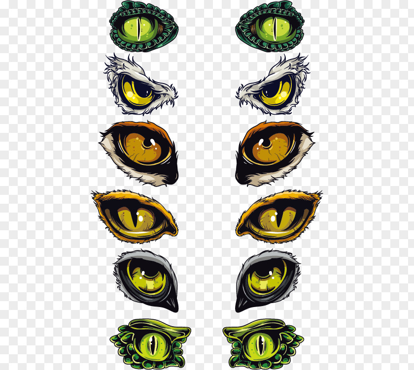 Animal Eyes Vector Material Euclidean Eye Symbol PNG