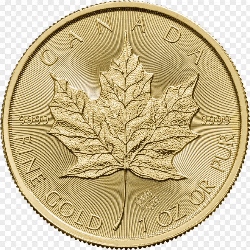 Canada Canadian Gold Maple Leaf Silver Royal Mint PNG
