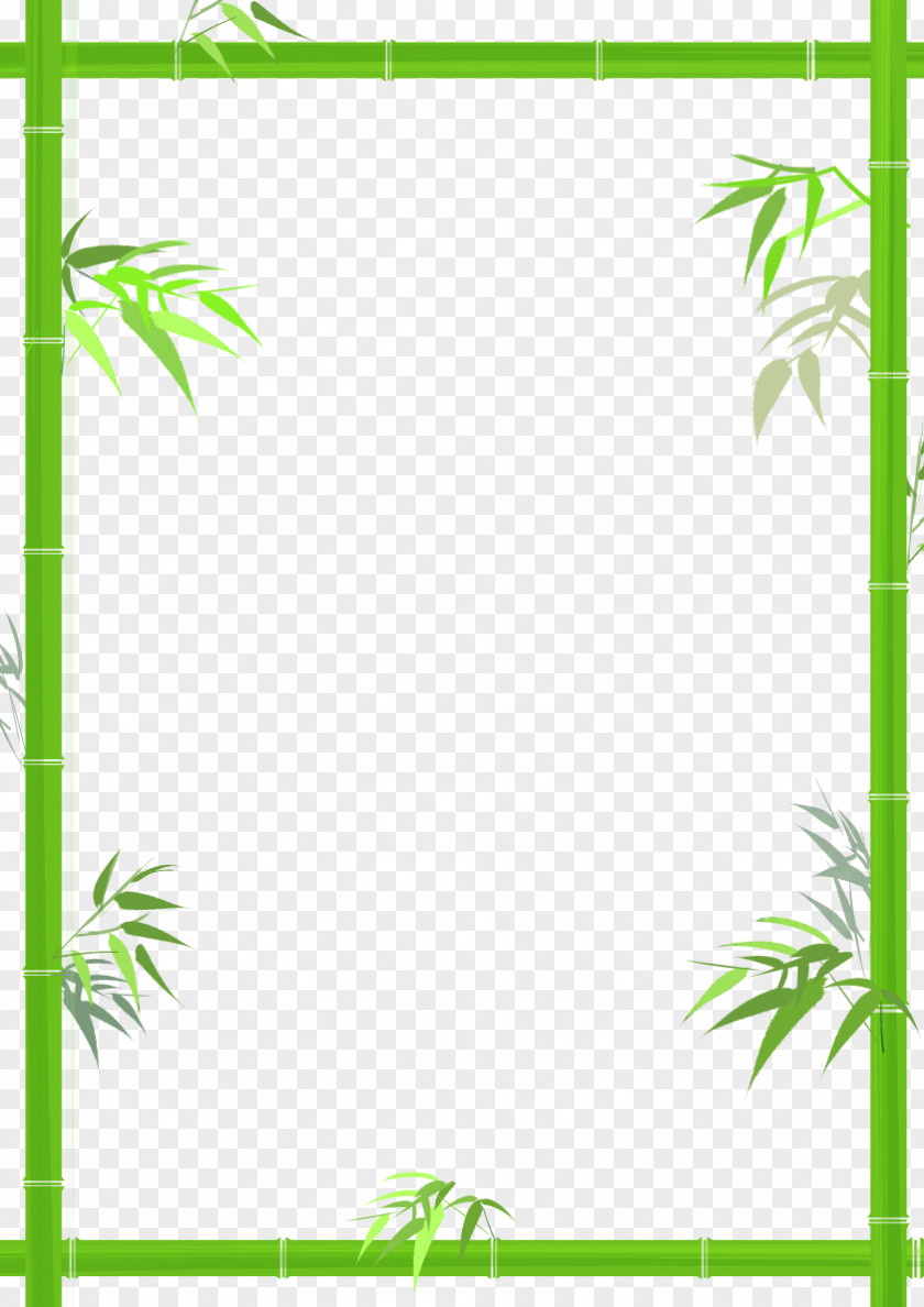 Green Bamboo Decorative Borders Bamboe PNG