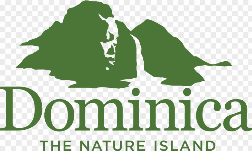 Hotel Dominica Ecotourism Destination Marketing Organization PNG