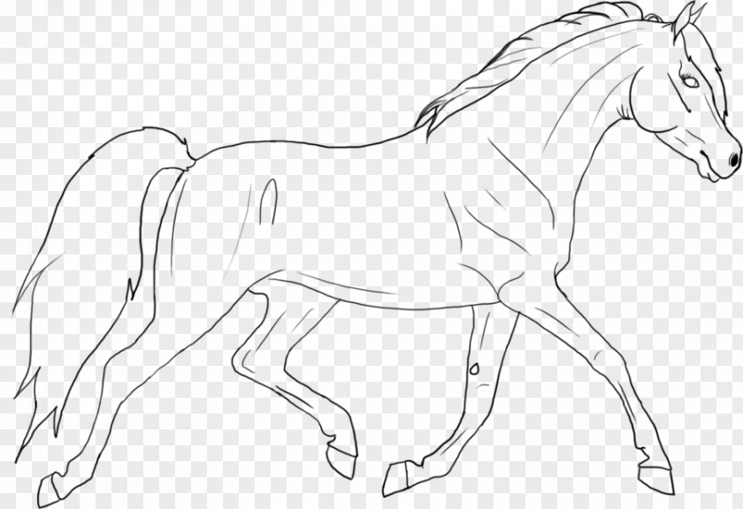 Jumping Kids Arabian Horse Line Art Mane Foal Stallion PNG