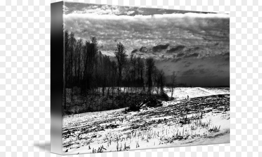 Landscape Paintings Monochrome Photography Picture Frames PNG