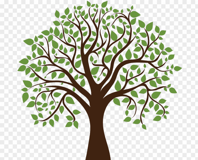 Maternal Vector Tree Desktop Wallpaper Deciduous Clip Art PNG