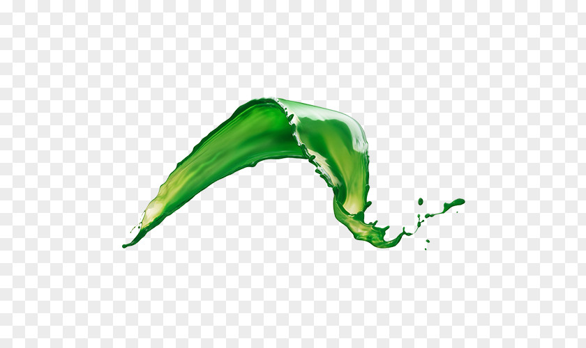 Oil Green Liquid Chlorophyll Leaf PNG
