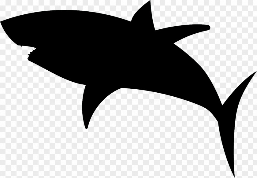 Shark Great White Silhouette PNG