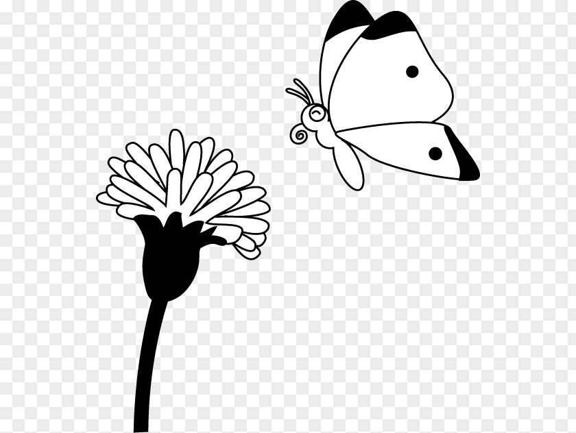 22 March Butterfly Line Art Insect PNG