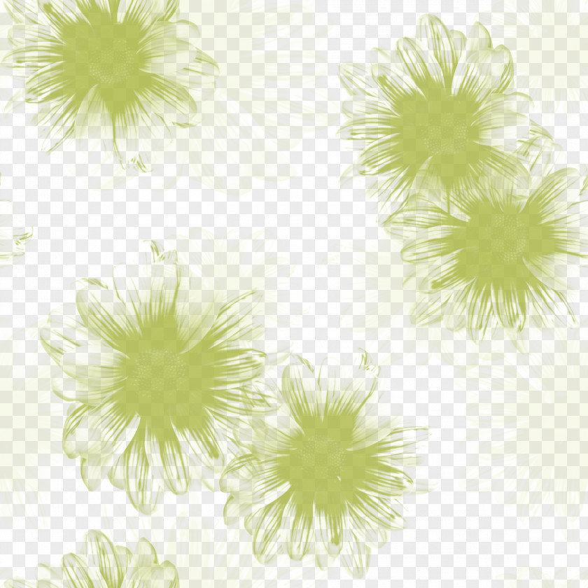 Gerbera Silhouette Jamesonii Flower Common Daisy PNG