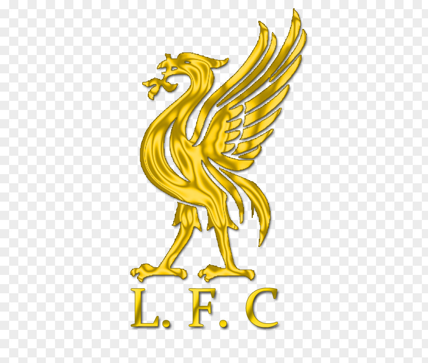 Liverpool F.C. Liver Bird You'll Never Walk Alone Premier League PNG