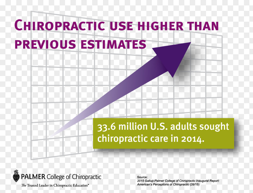 Stereotypes American Palmer College Of Chiropractic, Main Campus Chart Gallup Chiropractic Association PNG