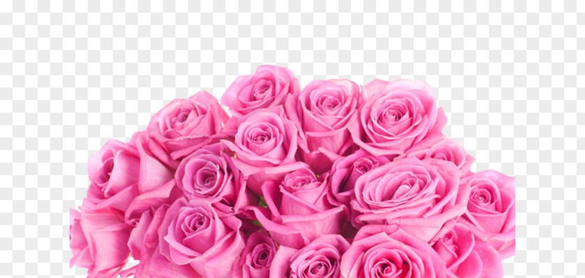 A Bouquet Of Pink Roses Still Life: Flower PNG