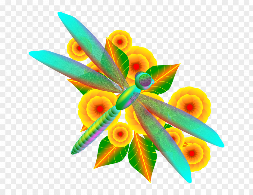 Dragonfly Flower Kilobyte Megabyte Clip Art PNG