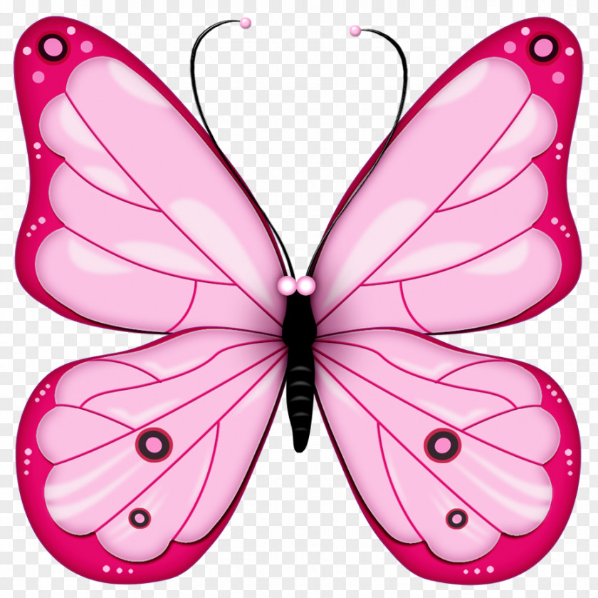 Pink Transparent Butterfly Clipart Clip Art PNG