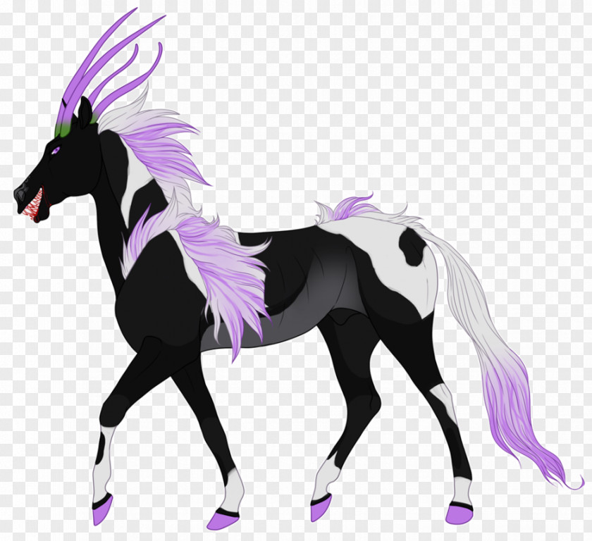 Anubis Mustang Foal Stallion Colt Pony PNG