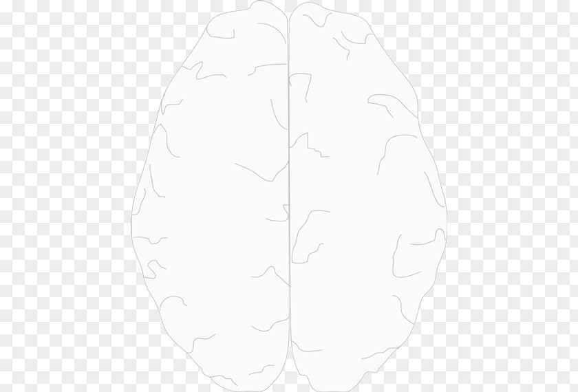 Cerebral Hemisphere Nose Walking White Pattern PNG