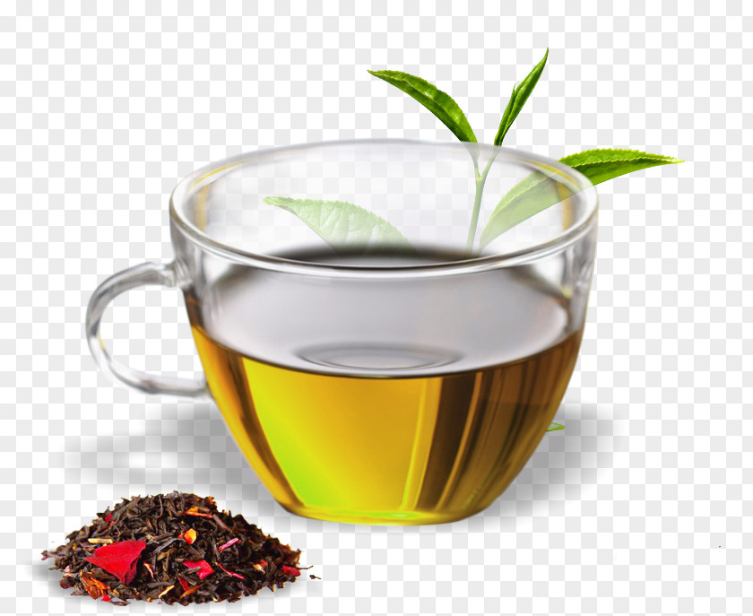 Green Tea Assam Mate Cocido Oolong PNG