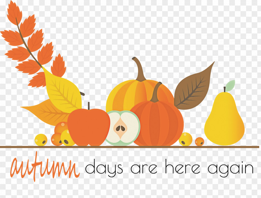 Happy Thanksgiving Background PNG