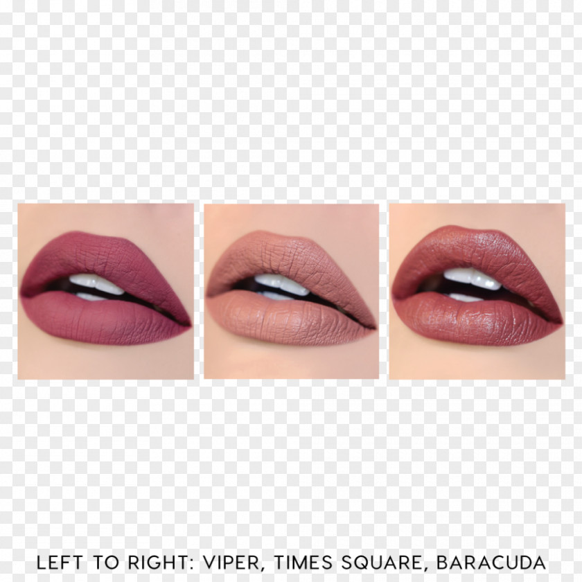 Autumn Is New Lipstick Colourpop Cosmetics Lip Liner PNG