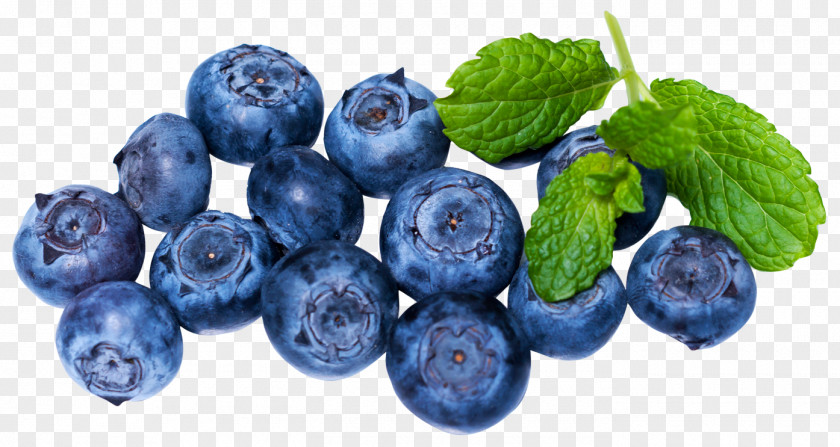 Blueberries European Blueberry Juice Fruit PNG