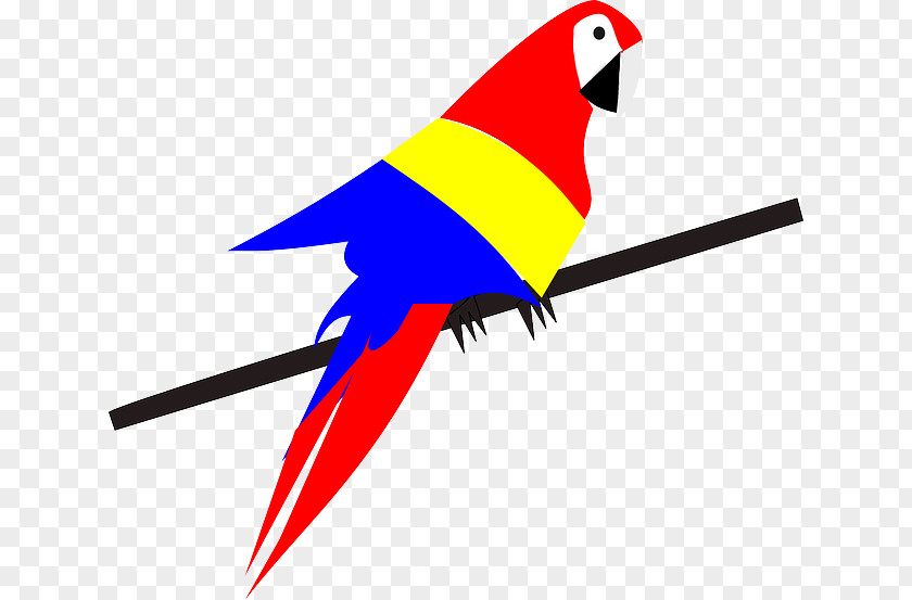 Exotic Parrot Clip Art PNG