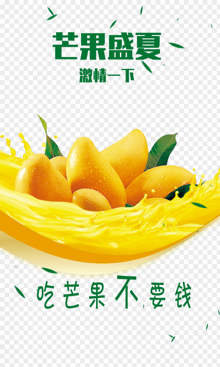 Mango Summer Juice Fruit PNG
