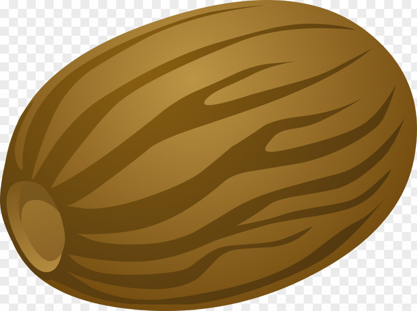 Nutmeg Spice Clip Art PNG