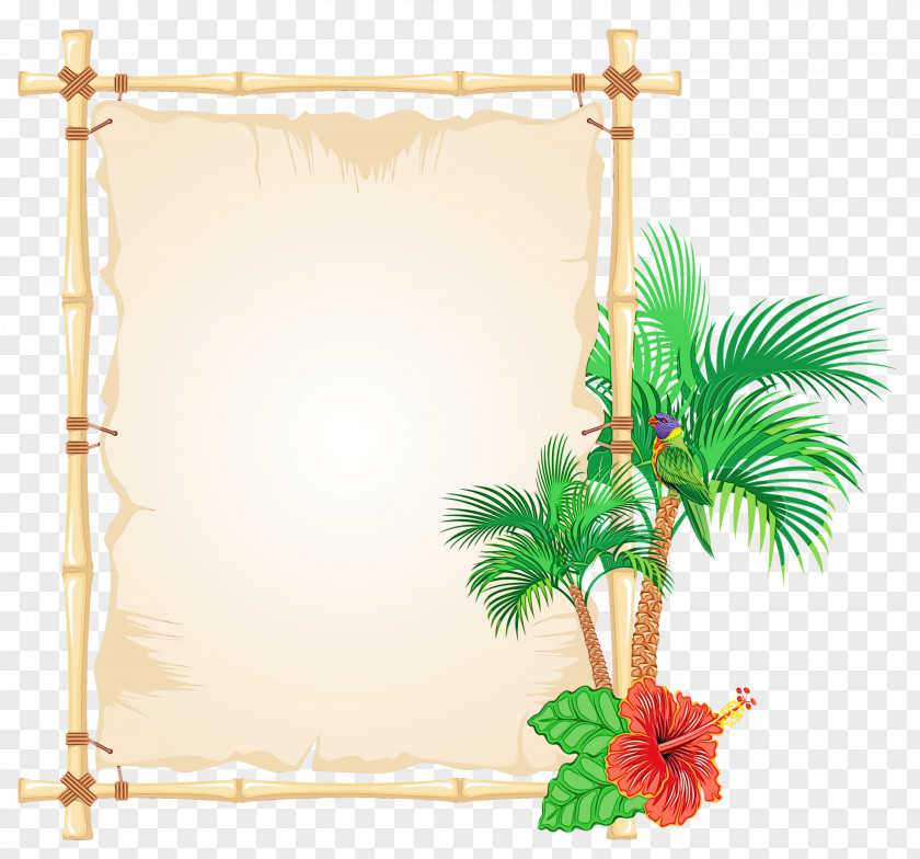 Picture Frames Image Photography Rectangle PNG