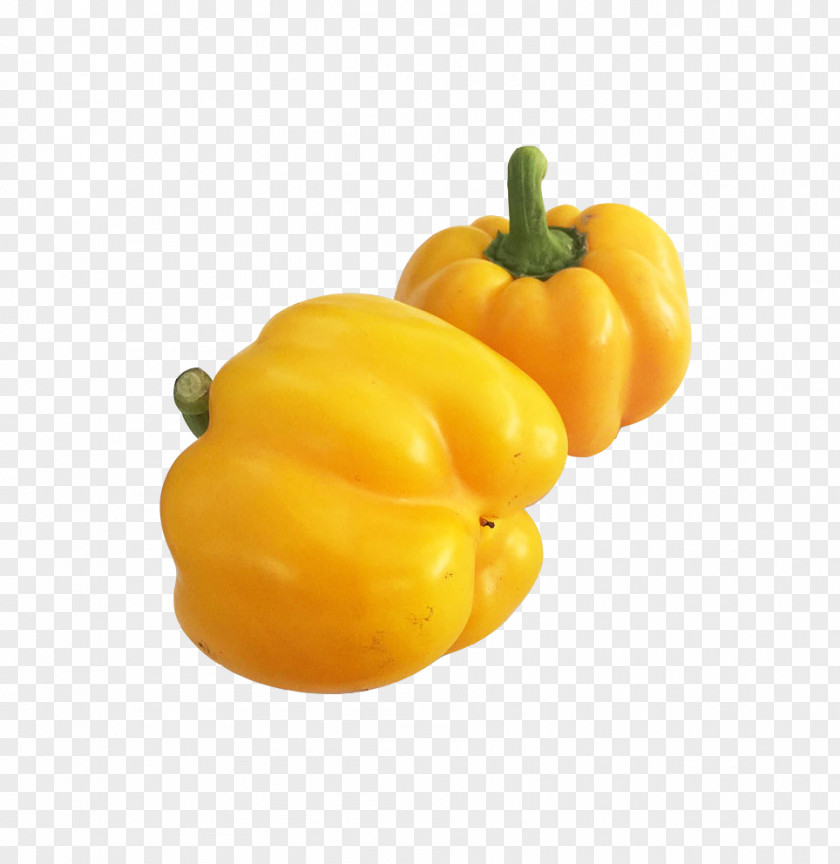 Real Pepper Bell Habanero Yellow PNG