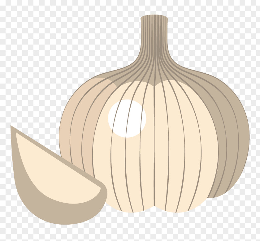 Vector Onion Vegetable Material Locro Garlic Crxeape PNG