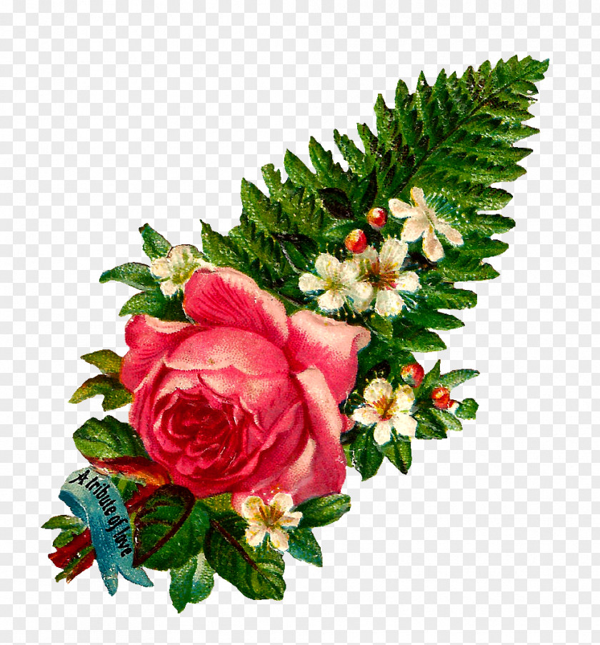 Vintage Flowers Garden Roses Cut Cottage PNG