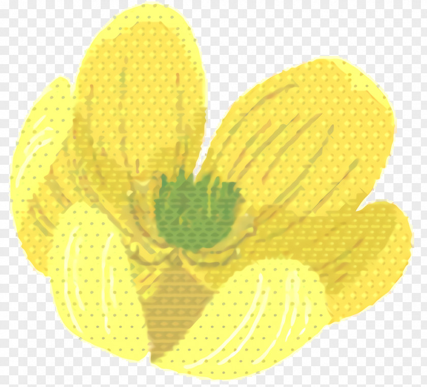 Wildflower Pollen Yellow Background PNG