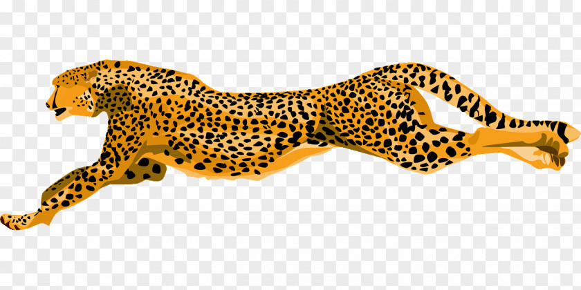 Cheetah Leopard Felidae Clip Art Cat PNG