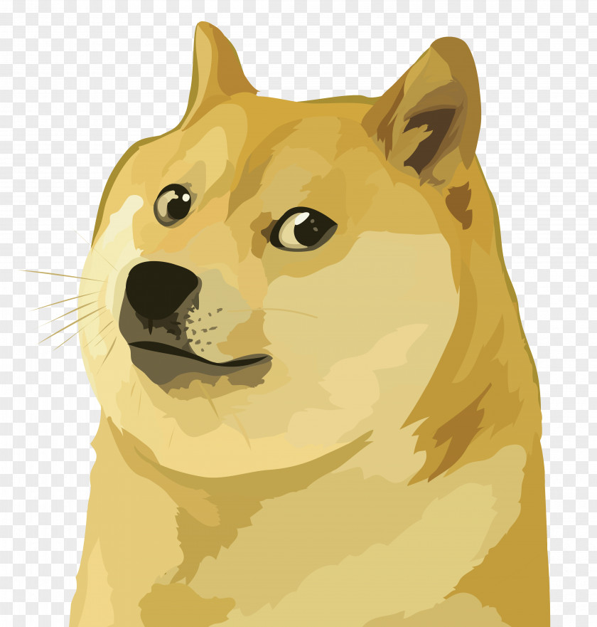 Doge Shiba Inu Dogecoin Jamaica National Bobsled Team Cryptocurrency PNG