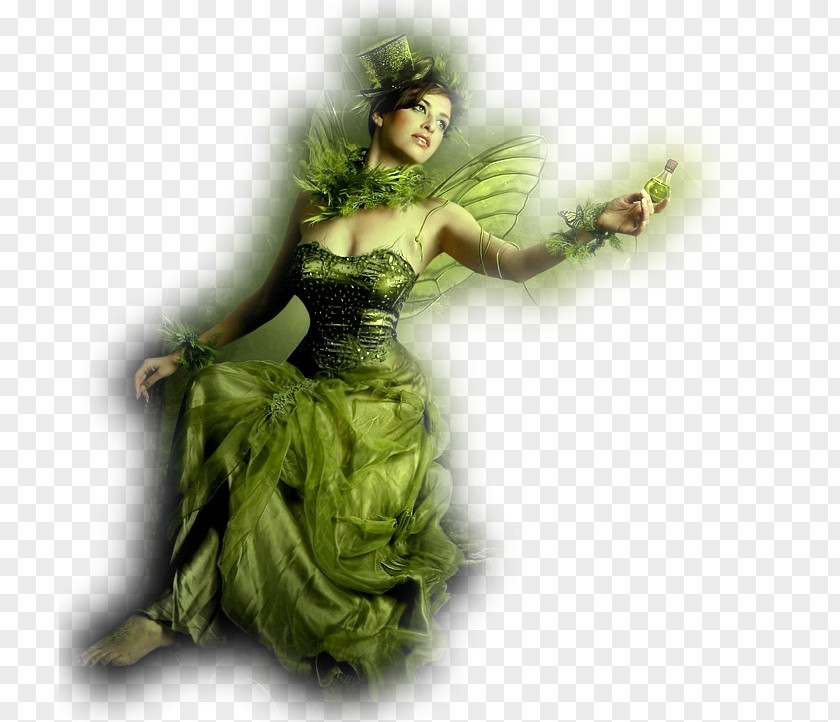 Fairy Absinthe Art Leprechaun Saint Patrick's Day PNG