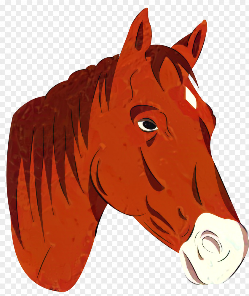 Mustang Stallion Pack Animal Illustration Bridle PNG