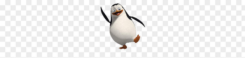 Penguin PNG clipart PNG