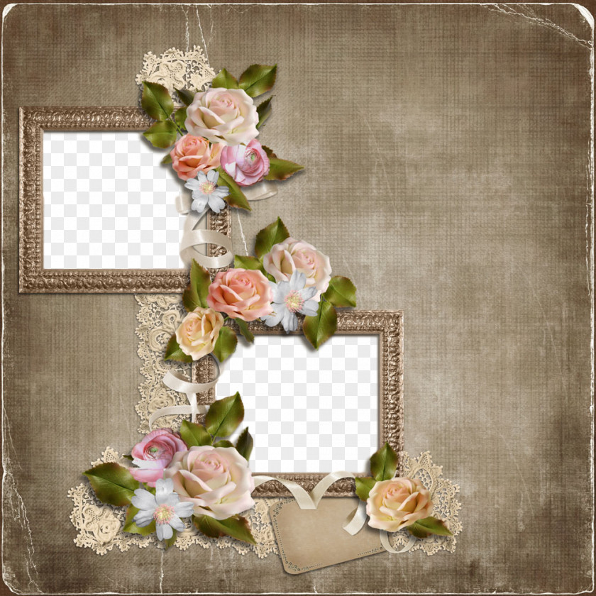 Petal Still Life Photography Picture Frame PNG