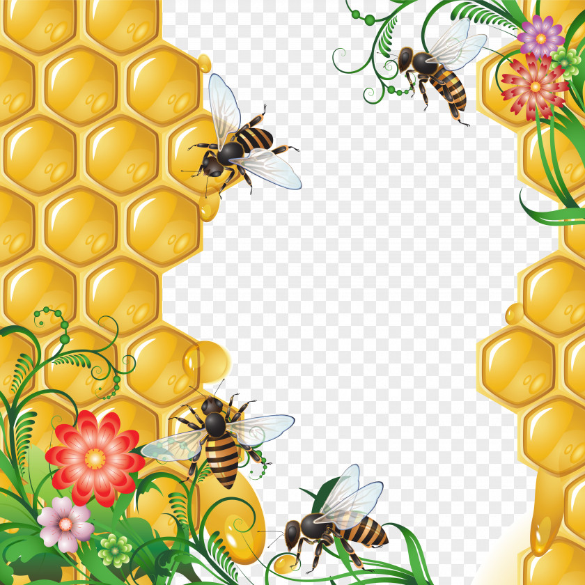 Bees And Honeycomb PNG and honeycomb clipart PNG