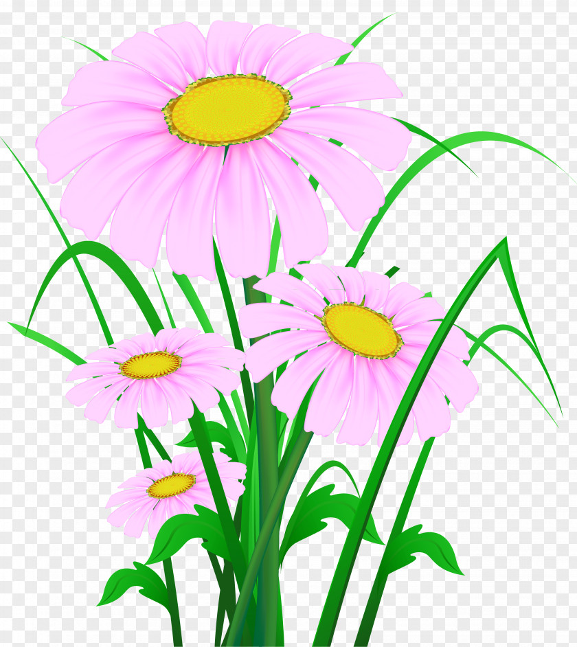 Clip Art Wildflower Desktop Wallpaper PNG