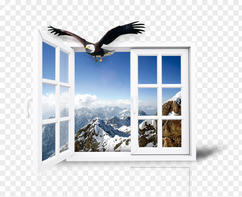 Eagles And Windows Window Advertising PNG