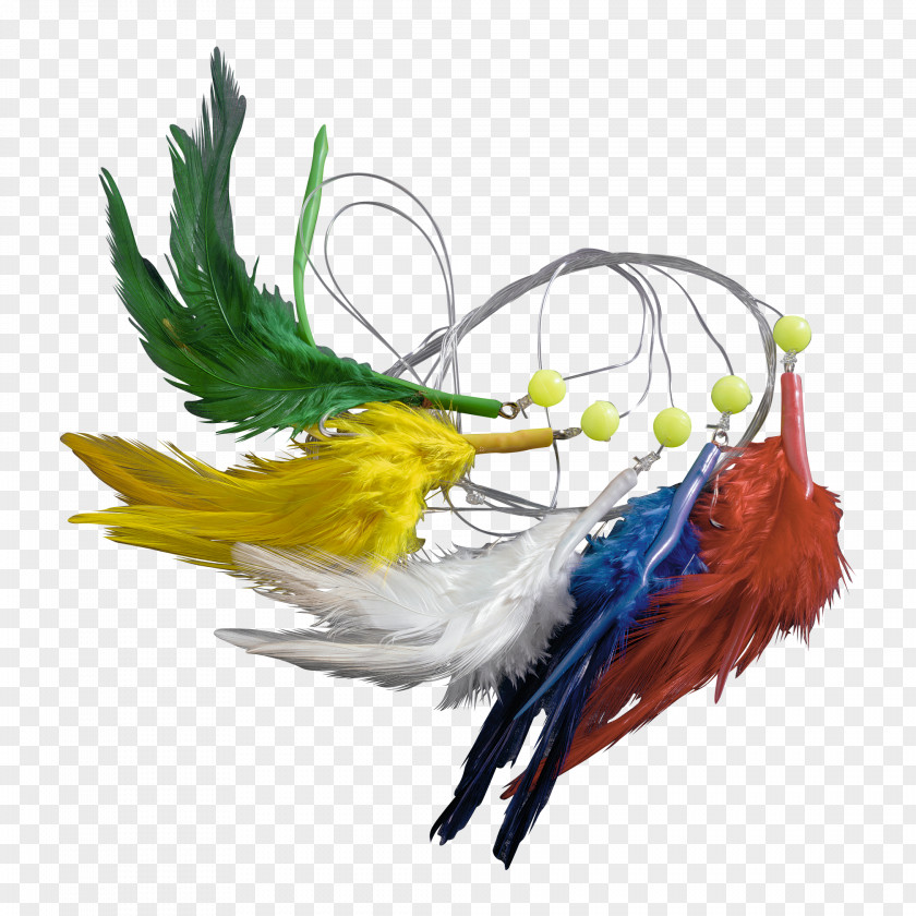 Mackerel Bird Feather Macaw Beak Wing PNG