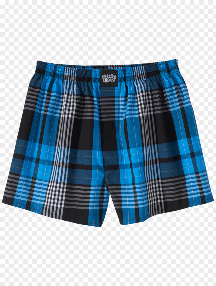 Beetrot Swim Briefs Trunks Underpants Bermuda Shorts PNG