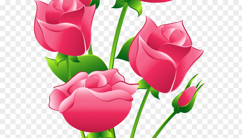 Bright Mothers Day Pink Roses Clip Art Rose Free Content Openclipart PNG
