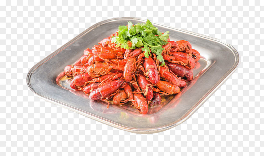Celery Red Lobster Delicatessen Seafood Boil Shrimp PNG