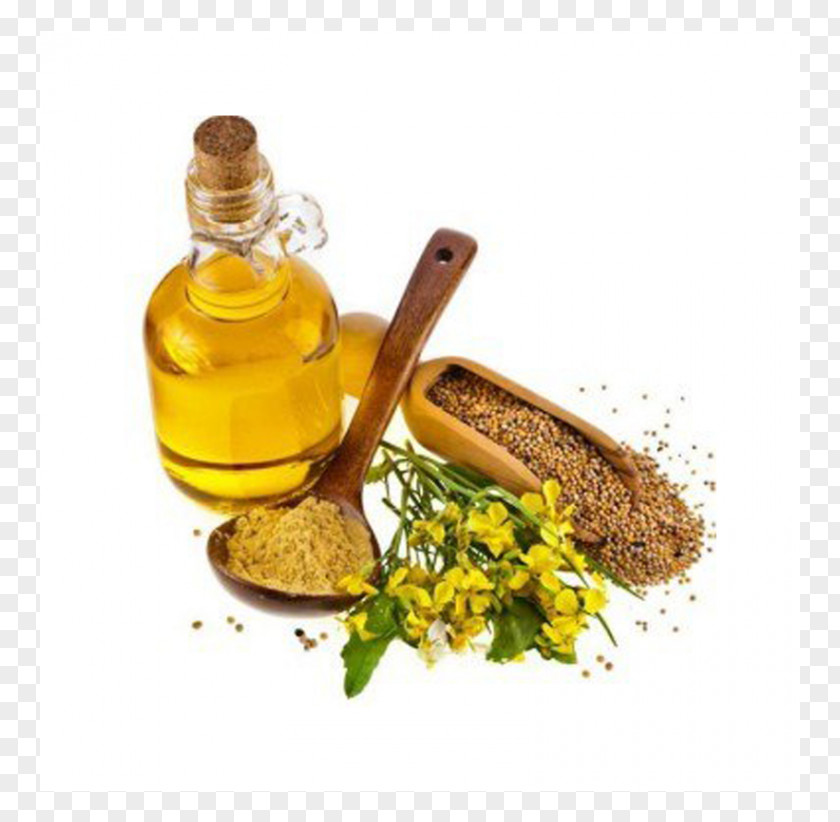 Oil Mustard Plant Seed Indian Cuisine PNG