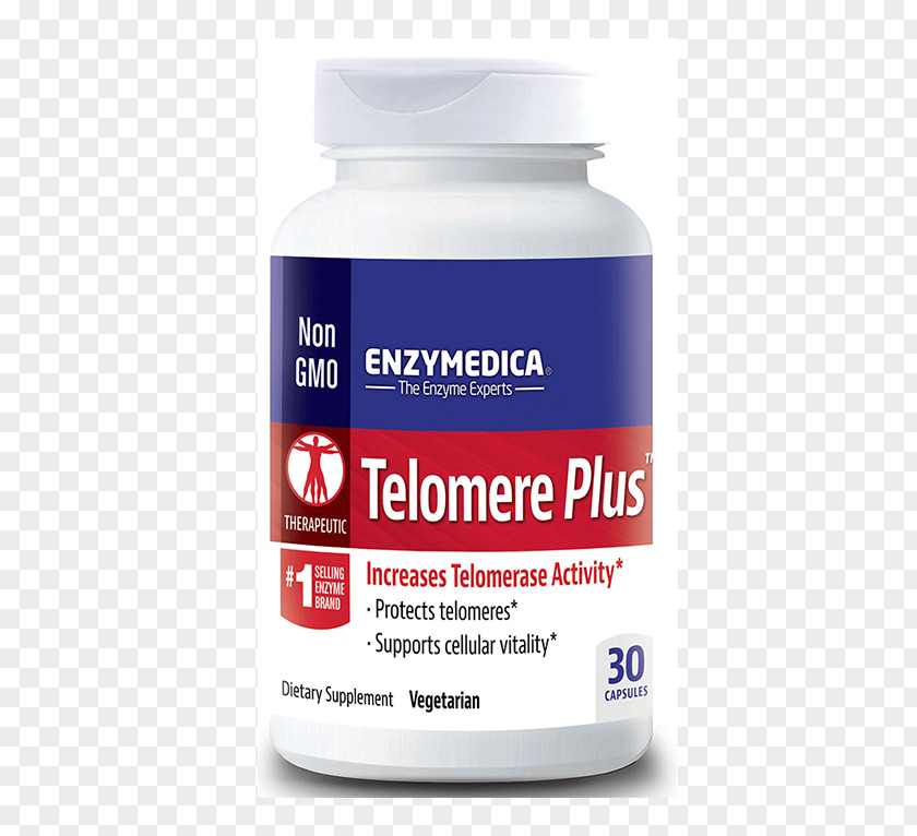 PhenolGest 60 CountMost Advanced Digestive Enzyme Telomere Telomerase Enzymedica Mucostop, 48 CapsulesSale Material Dietary Supplement PNG