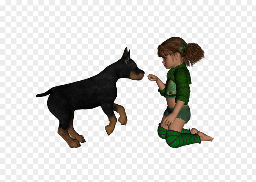 Qe Dobermann Puppy German Pinscher Dog Breed PNG