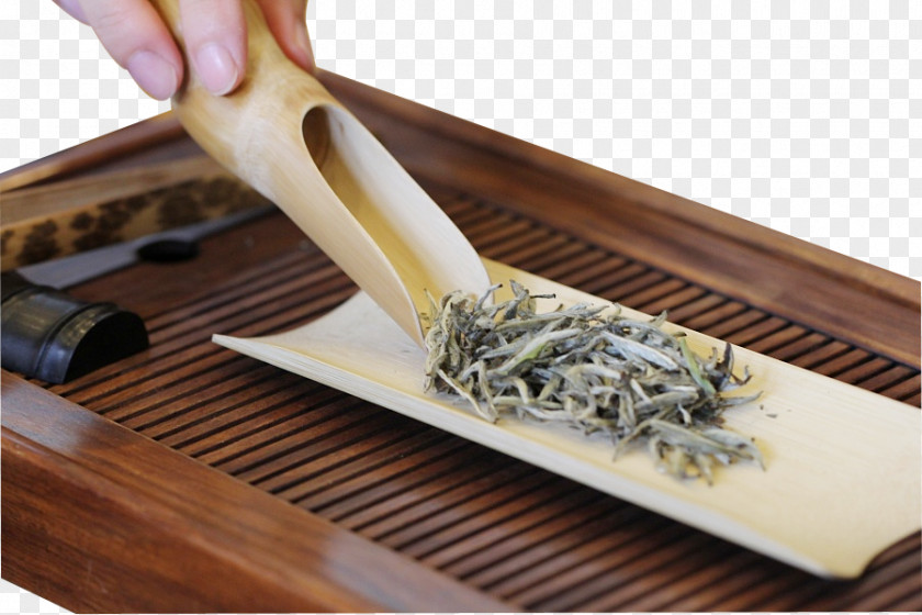 Tea White Fuding U8336u53f6u52a0u5de5 Teaware PNG