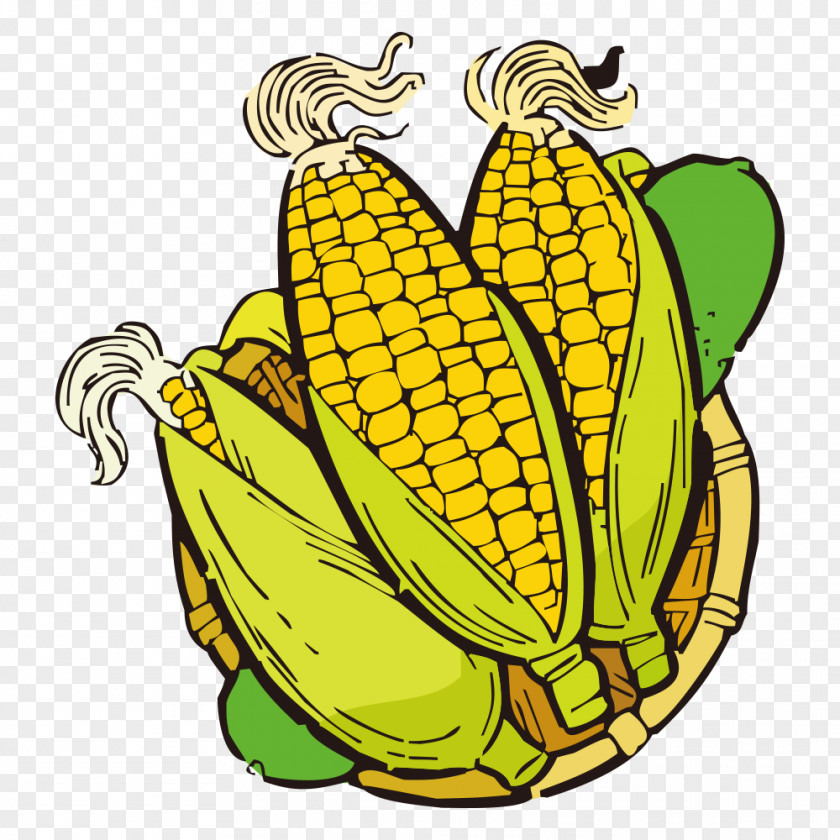 Corn Banana Vegetable Maize Clip Art PNG