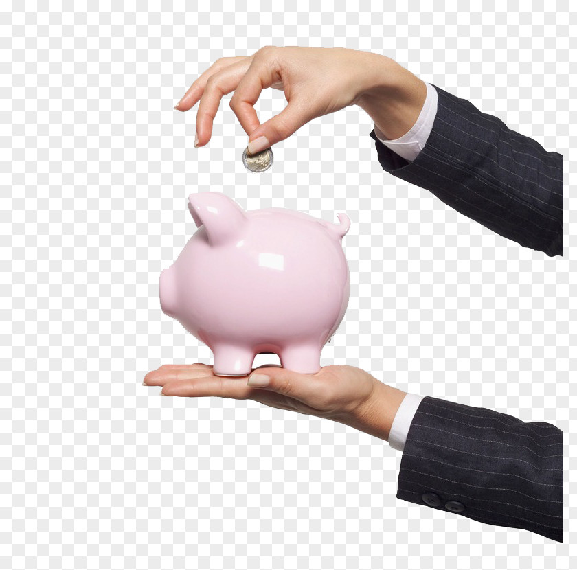 Cute Piggy Bank Tax Health Savings Account Employee Benefits Payment PNG