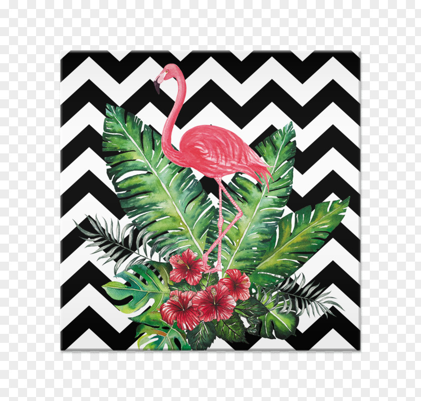 Flamingo Black Paper Chevron Corporation Picture Frames Bird Greater PNG